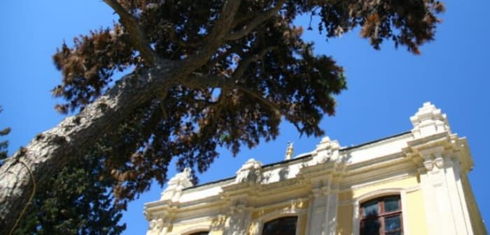 İstanbul Büyükada Hamidiye Camii restorasyon Projeleri